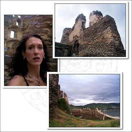 burg fuerstenberg