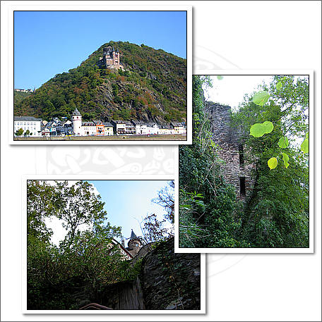 burg katz