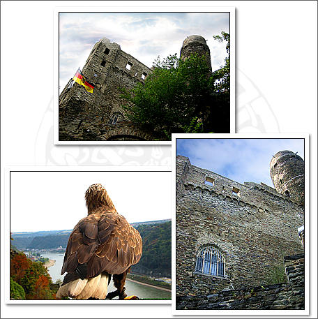 burg maus