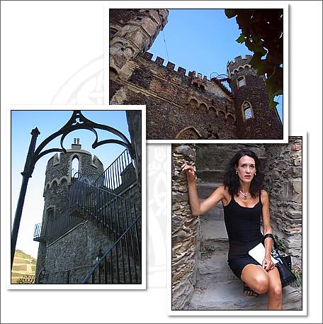 burg rheinstein