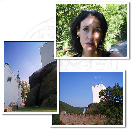 burg sterrenberg
