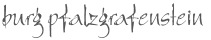pfalzgrafenstein