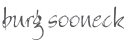 sooneck